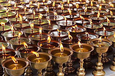 2D横向卷轴冒险游戏《艾登的花园》Steam页面上线 支持简繁体中文